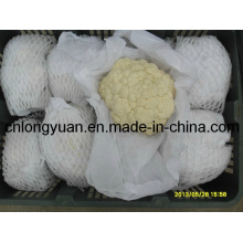 Chinese White Cauliflower in Carton